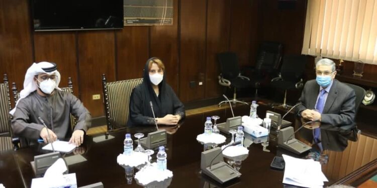 Egypte-EAU : Coopération dans le domaine de l'électricité 1 - Le Progrès Egyptien