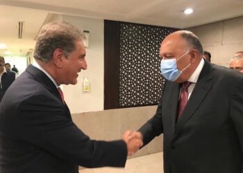 L’Egypte attachée à renforcer la coopération avec le Pakistan