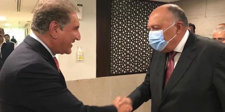 L'Egypte attachée à renforcer la coopération avec le Pakistan 1 - Le Progrès Egyptien