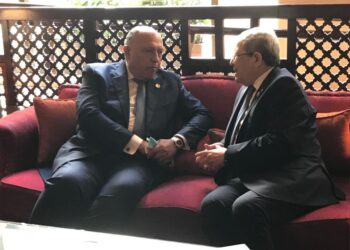 Choucri s’entretient avec son homologue tunisien
