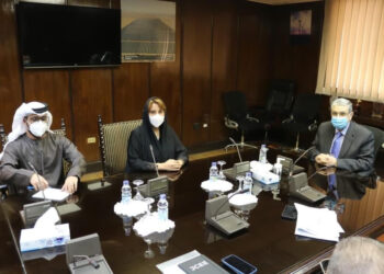 Energie : Coopération égypto-émiratie