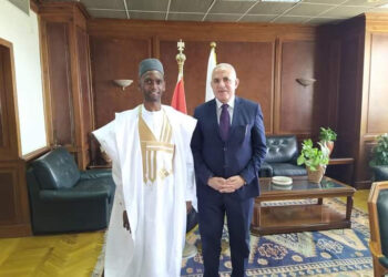 Développement : Tout le soutien de l’Egypte aux pays africains