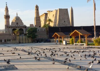Les “tarawih” au goût d’Aboul Oqsori
