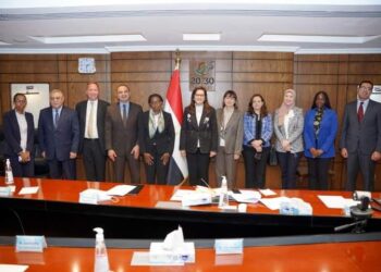 Coopération avec la CEA