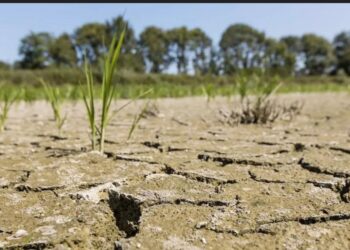 Changement climatique : Les conséquences s’aggravent en Afrique
