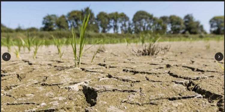 Changement climatique : Les conséquences s’aggravent en Afrique 1 - Le Progrès Egyptien