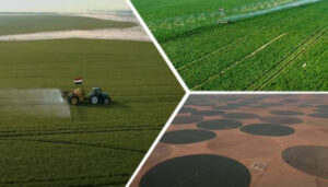 Bonifier de nouvelles terres à l’ouest du Delta 3 - Le Progrès Egyptien