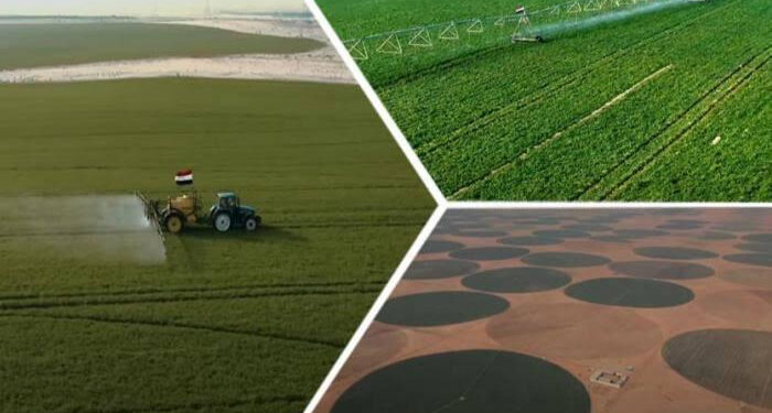 Bonifier de nouvelles terres à l’ouest du Delta 1 - Le Progrès Egyptien