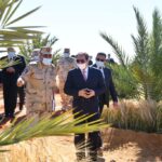 Le Président assiste au début de la saison de la récolte du blé à Tockha 7 - Le Progrès Egyptien