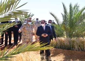 Le Président assiste au début de la saison de la récolte du blé à Tockha