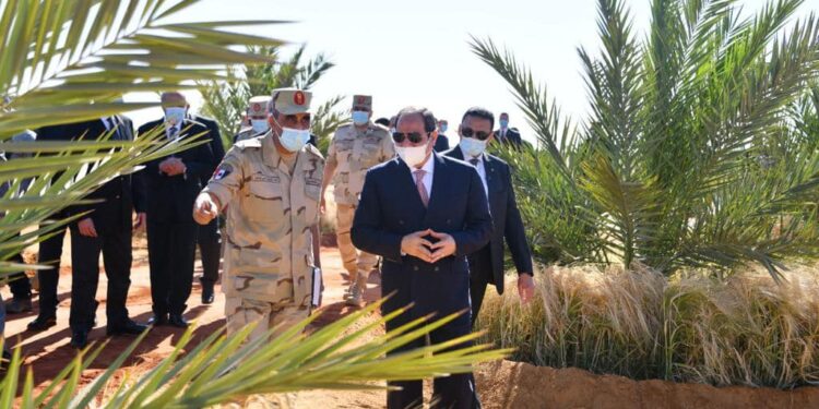 Le Président assiste au début de la saison de la récolte du blé à Tockha 1 - Le Progrès Egyptien