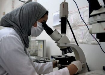 La recherche scientifique au service de la vision Egypte 2030