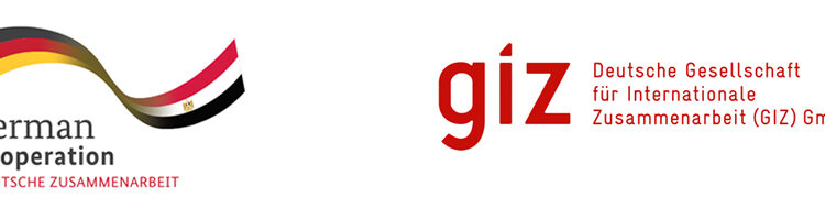 GIZ : Développer les programmes d’éducation combinée 1 - Le Progrès Egyptien