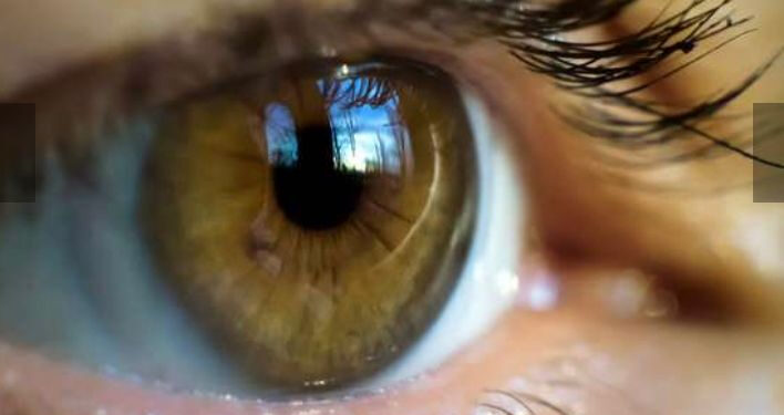 Un nouveau symptôme de la Covid-19 peut rendre aveugle 2 - Le Progrès Egyptien Un nouveau symptôme de la Covid-19 peut rendre aveugle 1 - Le Progrès Egyptien