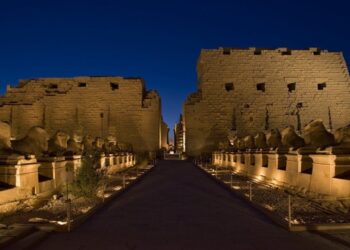 Allée des béliers : Emission de monnaies commémoratives