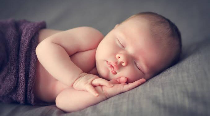 Nos ancêtres présents dans notre dialecte 2 - Le Progrès Egyptien Nos ancêtres présents dans notre dialecte 1 - Le Progrès Egyptien