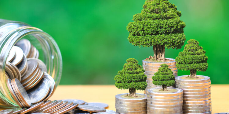 Trees growing on coins money and glass bottle on green background, investment and business concept