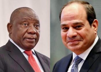 Inondations de Durban: Al-Sissi présente ses condoléances à l’Afrique du Sud