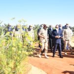 Le Président assiste au début de la saison de la récolte du blé à Tockha 5 - Le Progrès Egyptien