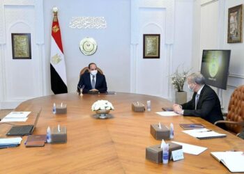 Al-Sissi: Une évaluation précise et intégrée sur la culture du coton à fibres courtes