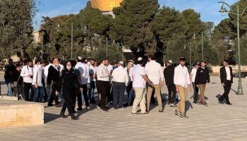 Des dizaines de colons prennent d’assaut la mosquée d’Al-Aqsa