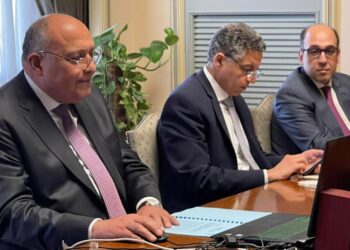 Choucri au sommet virtuel organisé par Foreign Policy