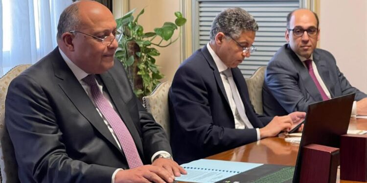 Choucri au sommet virtuel organisé par Foreign Policy 1 - Le Progrès Egyptien