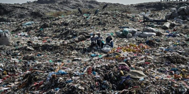 Pollution plastique : La Californie ouvre une enquête 1 - Le Progrès Egyptien