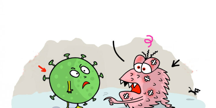 Coronavirus vs Hépatite C 2 - Le Progrès Egyptien Coronavirus vs Hépatite C 1 - Le Progrès Egyptien