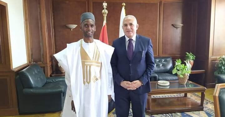 L'Égypte soutient le développement des pays d'Afrique 1 - Le Progrès Egyptien