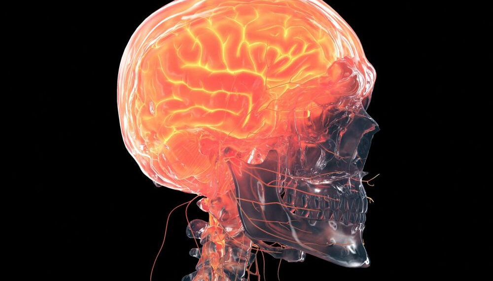 Covid-19 : Voici comment le coronavirus affecte le cerveau 1 - Le Progrès Egyptien