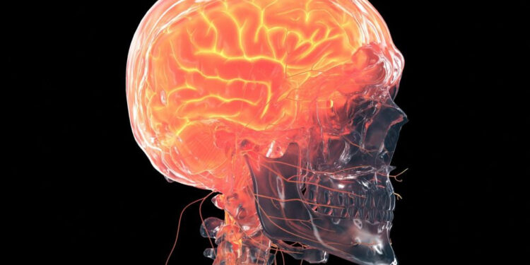Covid-19 : Voici comment le coronavirus affecte le cerveau 2 - Le Progrès Egyptien Covid-19 : Voici comment le coronavirus affecte le cerveau 1 - Le Progrès Egyptien