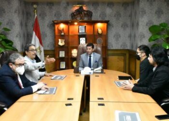 Vers la diffusion des jeux  électroniques en Egypte