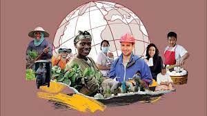 OIT : Plan national de promotion de l’égalité des sexes