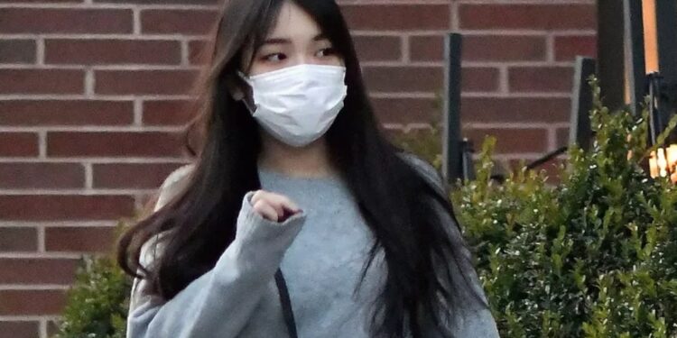 La princesse Mako du Japon travaillerait bénévolement pour le MET 1 - Le Progrès Egyptien