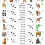 Découvrir ton duo favori ! 4 - Le Progrès Egyptien Découvrir ton duo favori ! 3 - Le Progrès Egyptien