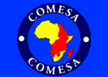 Le COMESA approuve l’initiative égyptienne pour l’intégration industrielle