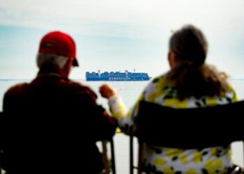 Baltimore : Un porte-conteneurs échoué ravit les curieux et inquiète les écologistes