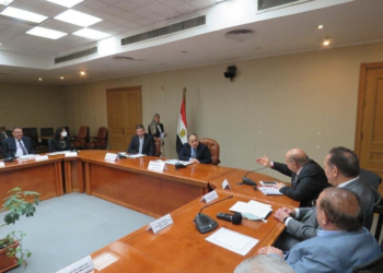 Crise mondiale: L’Egypte a réussi à contenir les chocs
