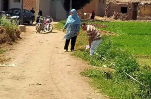 Bonifier de nouvelles terres à l’ouest du Delta 7 - Le Progrès Egyptien