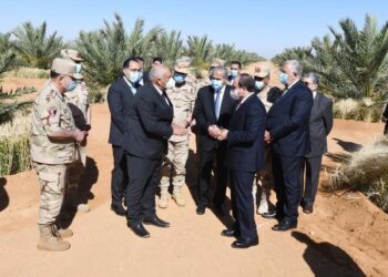 Le Président Al-Sissi assiste au début de la saison de la récolte du blé à Tockha