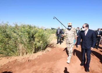 Al-Sissi en tournée d’inspection dans le projet de Tochka