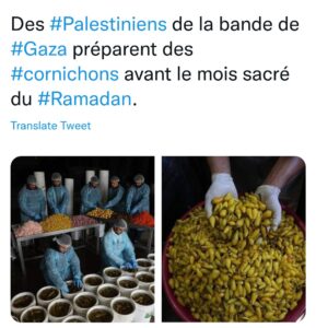 “#Ramadan” domine toujours 18 - Le Progrès Egyptien “#Ramadan” domine toujours 17 - Le Progrès Egyptien