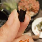 Azza Atef... qui concilie la gastronomie à l’art 20 - Le Progrès Egyptien Azza Atef... qui concilie la gastronomie à l’art 19 - Le Progrès Egyptien