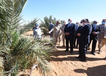 Al-Sissi: Coup d’envoi à la moisson de blé à Tochka