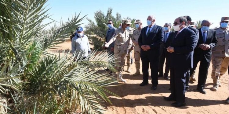Al-Sissi: Coup d'envoi à la moisson de blé à Tochka 1 - Le Progrès Egyptien