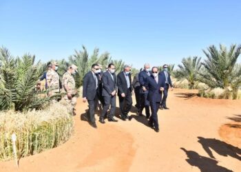 Le président inaugure par visioconférence nombre de silos dans plusieurs gouvernorats