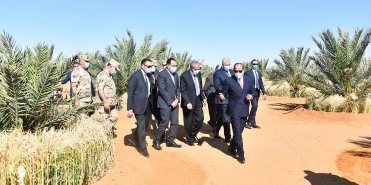 Le président inaugure par visioconférence nombre de silos dans plusieurs gouvernorats 1 - Le Progrès Egyptien