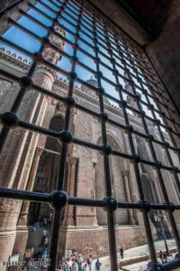 Avez-vous vu... ? 5 - Le Progrès Egyptien