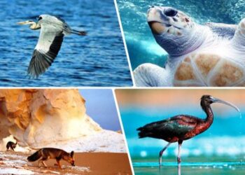 Meilleure gestion des réserves naturelles